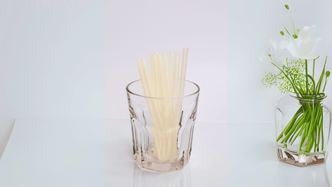 Bio Plastic Straws